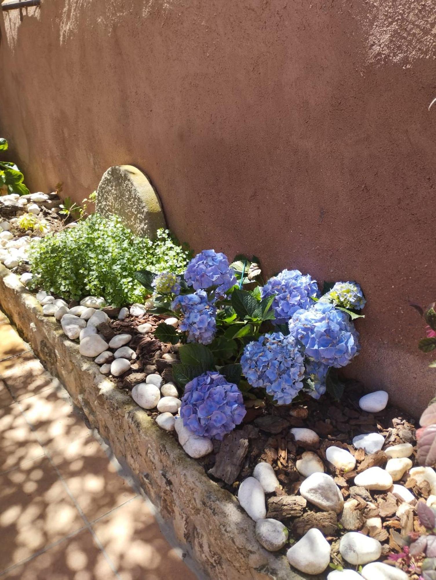 Casa Azafran Villa Torrijo del Campo ภายนอก รูปภาพ